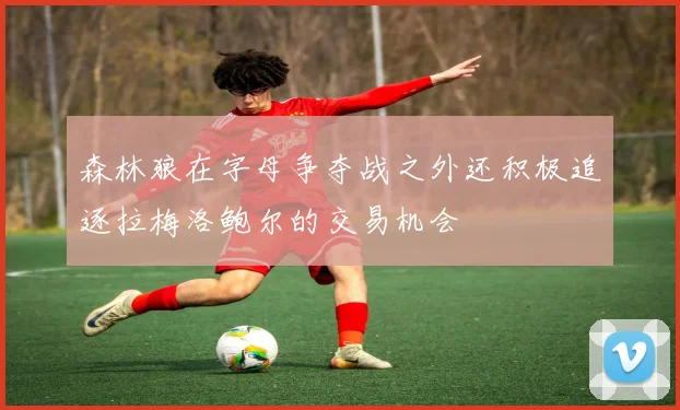 森林狼在字母争夺战之外还积极追逐拉梅洛鲍尔的交易机会